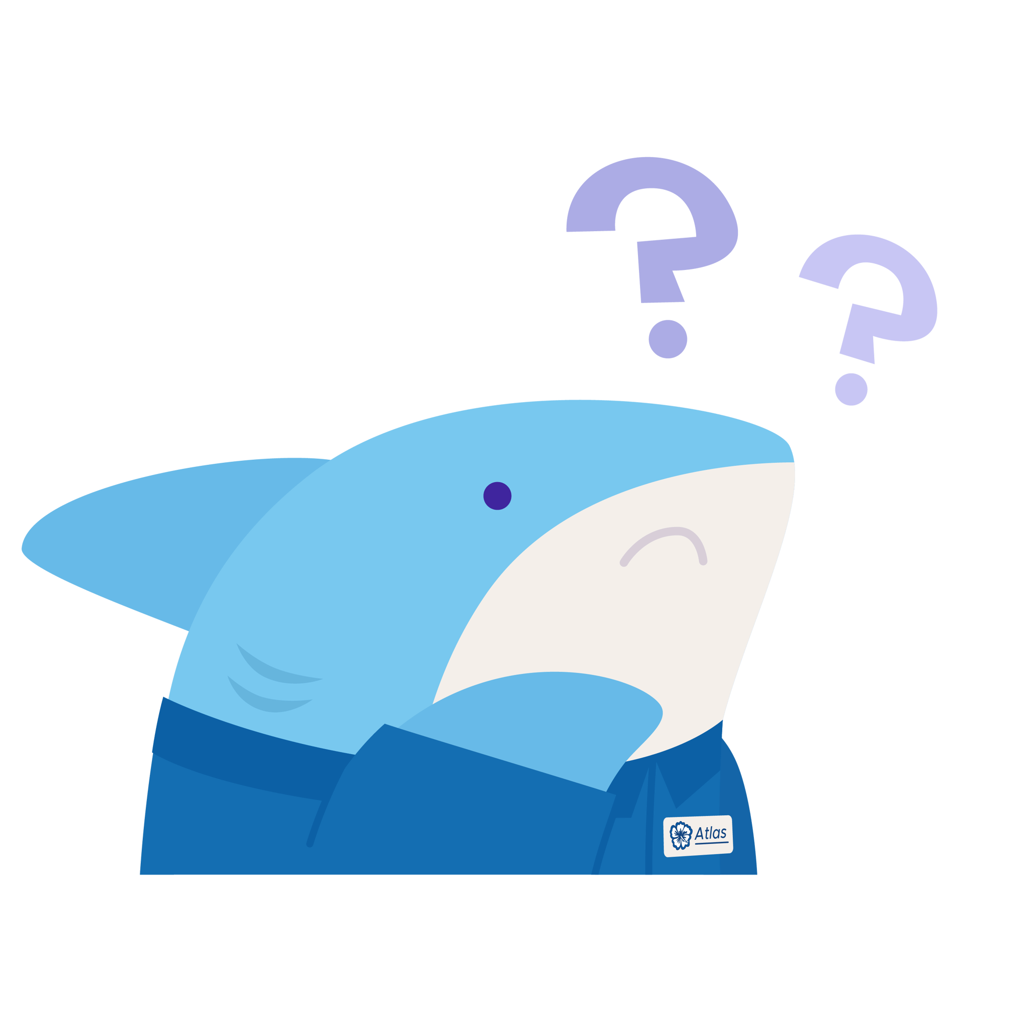 Atlas_Questions-1